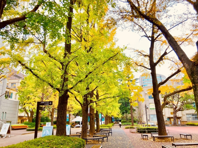 美容師専門学校と大学
